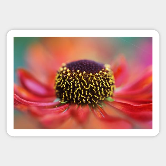 Dreamy Helenium Curls Sticker by SharonJ